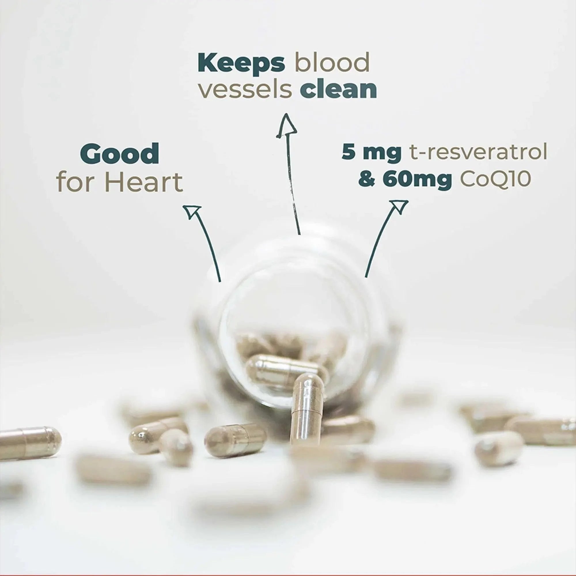 Good for Heart Polyphine Go-Keto 45 days (x90) go-keto P-HEA-90NL