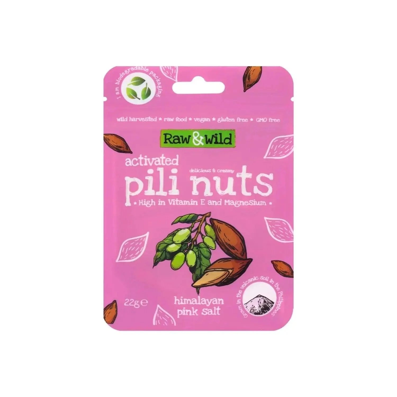 Pili Nuts Himalayan Pink Salt Raw & Wild 22g raw & wild Snacks 03200005