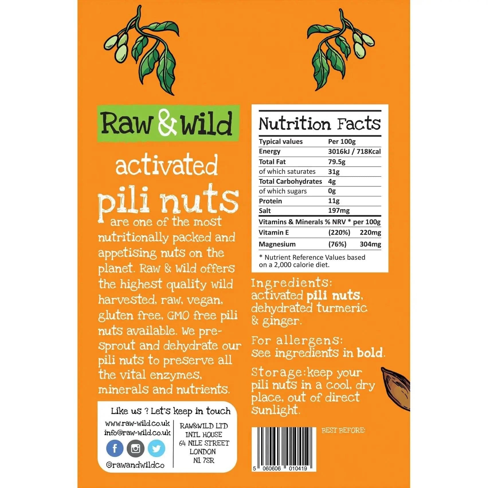 Pili Nuts Turmeric & Ginger Raw & Wild 22g x12 raw & wild Snacks 03200015