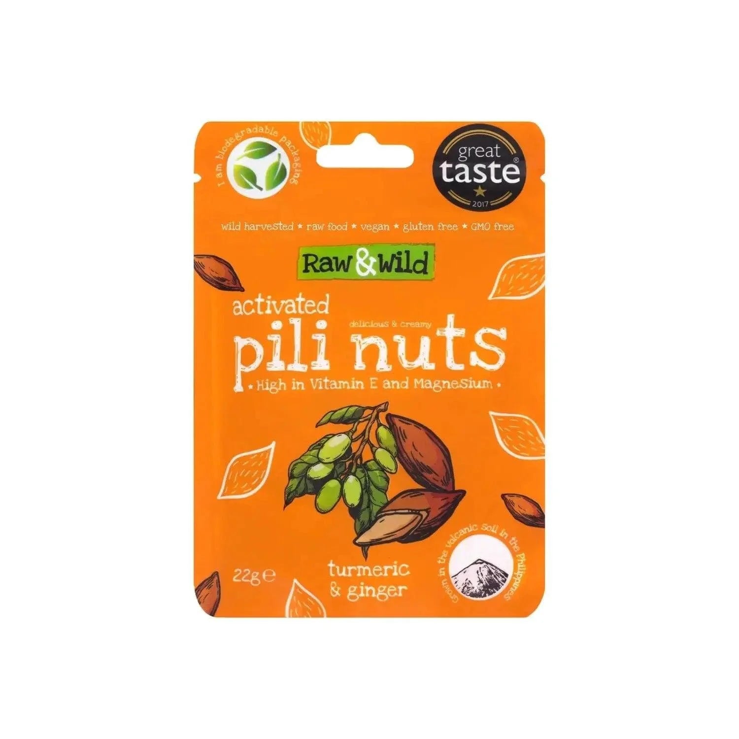 Pili Nuts Turmeric & Ginger Raw & Wild 22g raw & wild Snacks 03200009