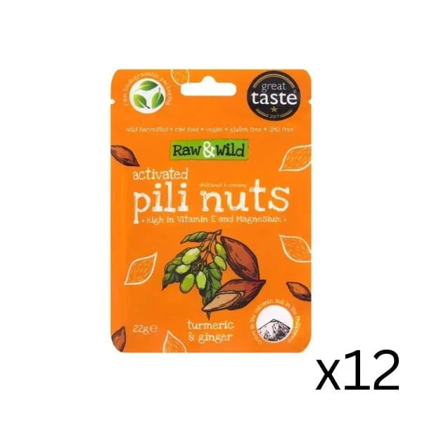 Pili Nuts Turmeric & Ginger Raw & Wild 22g x12 raw & wild Snacks 03200015