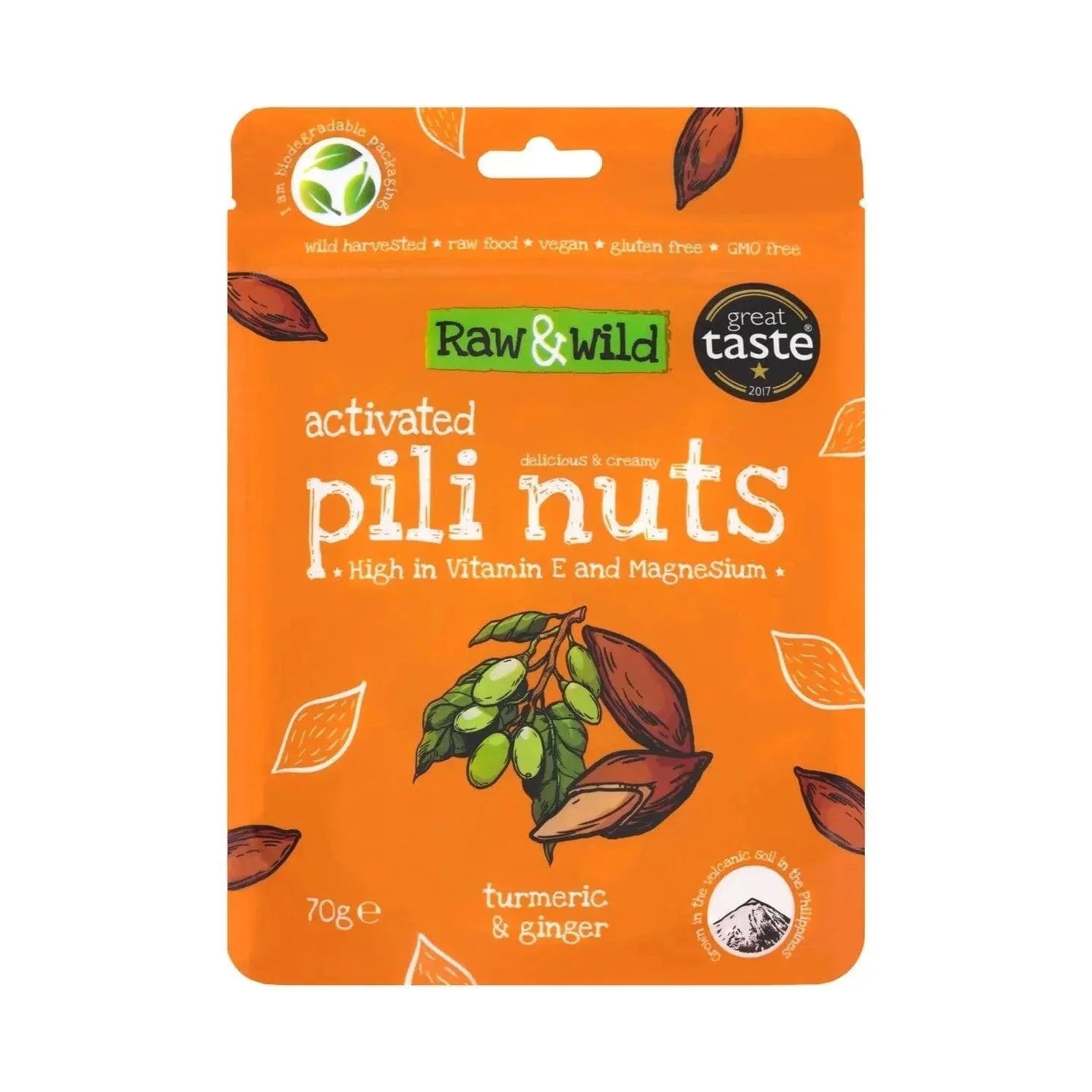 Raw & Wild Pili Nuts Turmeric & Ginger Raw & Wild 70g 03200010 Vital20
